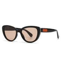 Modern Style Color Block Pc Cat Eye Inlay Full Frame Women's Sunglasses sku image 5