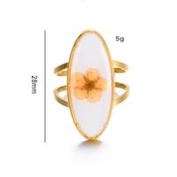 Simple Style Classic Style Flower 304 Stainless Steel Gold Plated Rings In Bulk main image 2