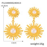 1 Pair Simple Style Classic Style Solid Color Plating Titanium Steel 18K Gold Plated Drop Earrings sku image 4