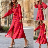 Women's Regular Dress Streetwear Standing Collar Printing Long Sleeve Color Block Midi Dress Holiday Daily main image 1