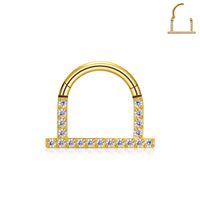 1 Piece Nose Rings & Studs Simple Style Classic Style Geometric Titanium Alloy Inlay Zircon Ear Cartilage Rings & Studs Nose Rings & Studs sku image 2