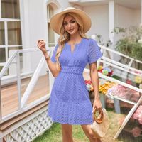Women's Regular Dress Simple Style V Neck Lace Short Sleeve Solid Color Knee-Length Daily main image 4