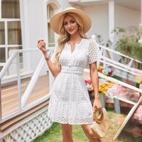 Women's Regular Dress Simple Style V Neck Lace Short Sleeve Solid Color Knee-Length Daily main image 5