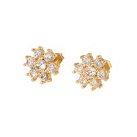 1 Pair IG Style Shiny Flower Inlay 304 Stainless Steel Zircon Ear Studs main image 5