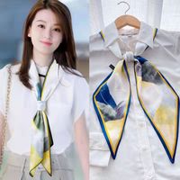 Women's Simple Style Color Block Polyester Printing Silk Scarf sku image 13