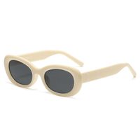 Basic Modern Style Classic Style Oval Pc Oval Frame Full Frame Women's Sunglasses sku image 4