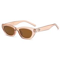 Basic Simple Style Classic Style Oval Pc Oval Frame Full Frame Women's Sunglasses sku image 6