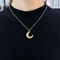 Copper 18K Gold Plated Basic Simple Style Commute Plating Inlay Dog Moon Bottle Zircon Pendant Necklace main image 1