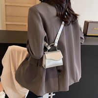 Women's Medium Pu Leather Solid Color Basic Classic Style Sewing Thread Flip Cover Crossbody Bag sku image 4