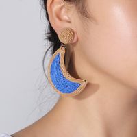 1 Pair Basic Moon Patchwork Raffia Drop Earrings main image 5