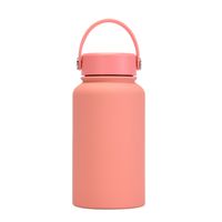 Casual Solid Color Stainless Steel Water Bottles sku image 43