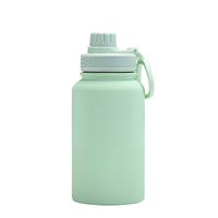 Casual Solid Color Stainless Steel Water Bottles sku image 49