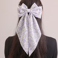 Women's Beach Sweet Simple Style Ditsy Floral Fruit Heart Shape Alloy Cloth Printing Hair Clip main image 5
