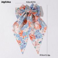 Women's Beach Sweet Simple Style Ditsy Floral Fruit Heart Shape Alloy Cloth Printing Hair Clip main image 2