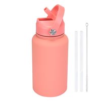 Casual Solid Color Stainless Steel Water Bottles sku image 22
