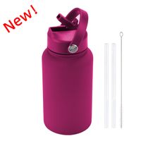Casual Solid Color Stainless Steel Water Bottles sku image 25
