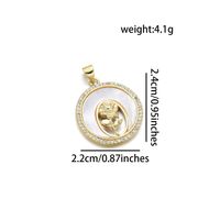 Simple Style Geometric Rose 18K Gold Plated Shell Zircon Copper Wholesale Jewelry Accessories sku image 4