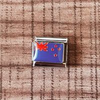 1 Piece 9*10mm 304 Stainless Steel National Flag Constellation Flower Bracelet Card sku image 15