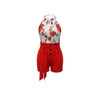 Daily Women's Streetwear Flower Spandex Polyester Printing Shorts Sets Shorts Sets main image 4
