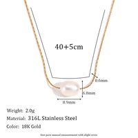 316L Stainless Steel  Freshwater Pearl 18K Gold Plated Simple Style Classic Style Plating Geometric Pendant Necklace main image 2