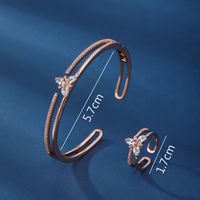 Copper 18K Gold Plated Rose Gold Plated Elegant Glam Luxurious Inlay Flower Petal Zircon Jewelry Set main image 10
