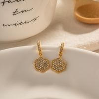 1 Pair Simple Style Classic Style Flower Plating 304 Stainless Steel 18K Gold Plated Drop Earrings main image 4