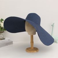 Women's Elegant Modern Style Classic Style Solid Color Big Eaves Sun Hat sku image 6