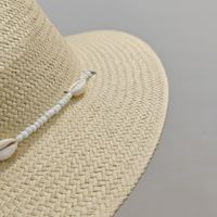 Unisex Basic Cowboy Style Classic Style Shell Big Eaves Sun Hat Straw Hat main image 5
