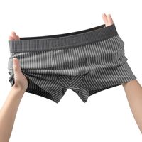 Men's Stripe Simple Style Men's Bottoms main image 2