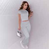 Holiday Daily Women's Streetwear Solid Color Spandex Polyester Pants Sets Pants Sets main image 3