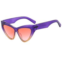 Elegant Simple Style Color Block Pc Cat Eye Full Frame Women's Sunglasses sku image 3