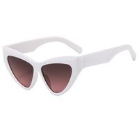 Elegant Simple Style Color Block Pc Cat Eye Full Frame Women's Sunglasses sku image 4