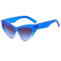 Elegant Simple Style Color Block Pc Cat Eye Full Frame Women's Sunglasses sku image 6