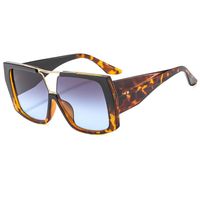 Elegant Simple Style Color Block Leopard Pc Toad Glasses Full Frame Women's Sunglasses sku image 7