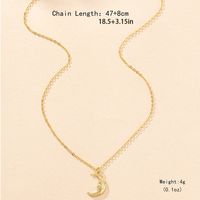 Elegant Einfacher Stil Einfarbig Eisen Zinklegierung Frau Halskette Mit Anhänger main image 5
