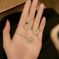 Simple Style Classic Style Flower Sterling Silver Inlay Zircon Women's Jewelry Set main image 4