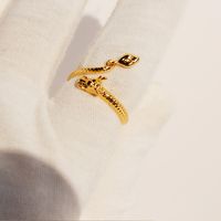 Brass Chinoiserie Casual Plating Dragon Rings Earrings main image 4