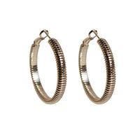 1 Pair Exaggerated Simple Style Circle Plating Brass 18K Gold Plated Earrings main image 4