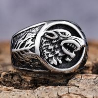 Hip-Hop Streetwear Color Block 304 Stainless Steel Carving Men's Rings main image 8