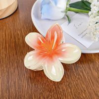 Simple Style Flower Plastic Resin Hair Claws sku image 1