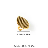 Edelstahl 304 Vergoldet Moderner Stil Einfacher Stil Pendeln Überzug Oval Ringe main image 2