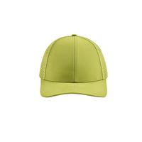 Unisex Simple Style Classic Style Solid Color Curved Eaves Baseball Cap sku image 5