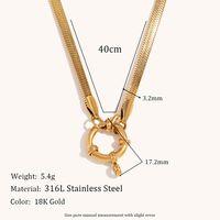316L Stainless Steel  18K Gold Plated Simple Style Geometric Necklace main image 5