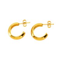 1 Pair Elegant Lady Modern Style C Shape Star Plating 316 Stainless Steel  Titanium Steel 18K Gold Plated Drop Earrings sku image 2