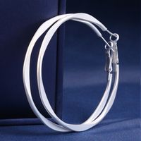 1 Pair Simple Style Round Solid Color Alloy Hoop Earrings main image 1