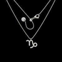 Titanium Steel Basic Modern Style Classic Style Plating Inlay Constellation Zircon Pendant Necklace sku image 11