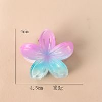 Women's Sweet Simple Style Flower Plastic Hair Clip sku image 23