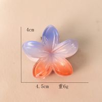 Women's Sweet Simple Style Flower Plastic Hair Clip sku image 22