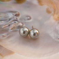1 Pair IG Style Elegant Round Plating Inlay 304 Stainless Steel Imitation Pearl Artificial Pearls Ear Studs main image 4