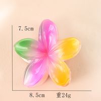 Women's Sweet Simple Style Flower Plastic Hair Clip sku image 48